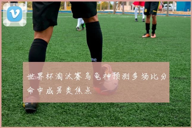 世界杯淘汰赛乌龟神预测多场比分命中成另类焦点