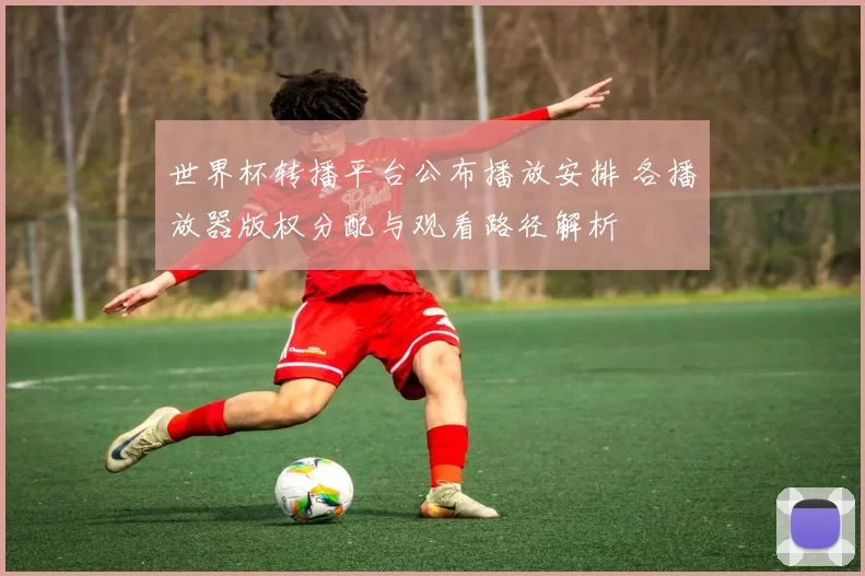 世界杯转播平台公布播放安排 各播放器版权分配与观看路径解析