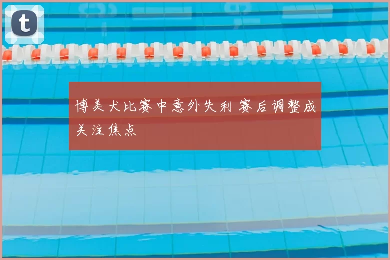 博美犬比赛中意外失利 赛后调整成关注焦点