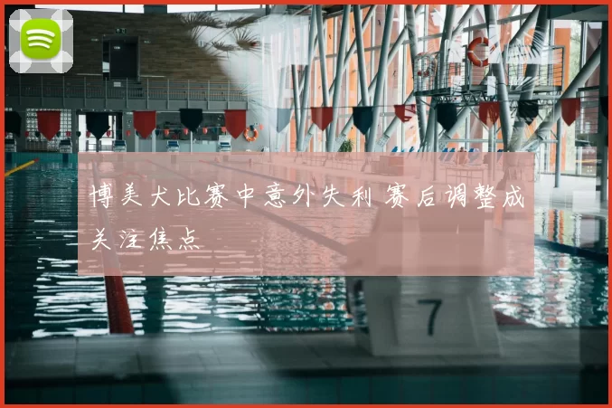 博美犬比赛中意外失利 赛后调整成关注焦点